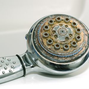 Tips Mudah Bersihkan Shower dari Lumut dan Kotoran